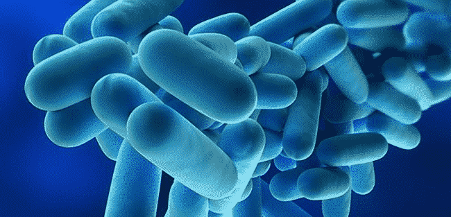 legionella-1.png