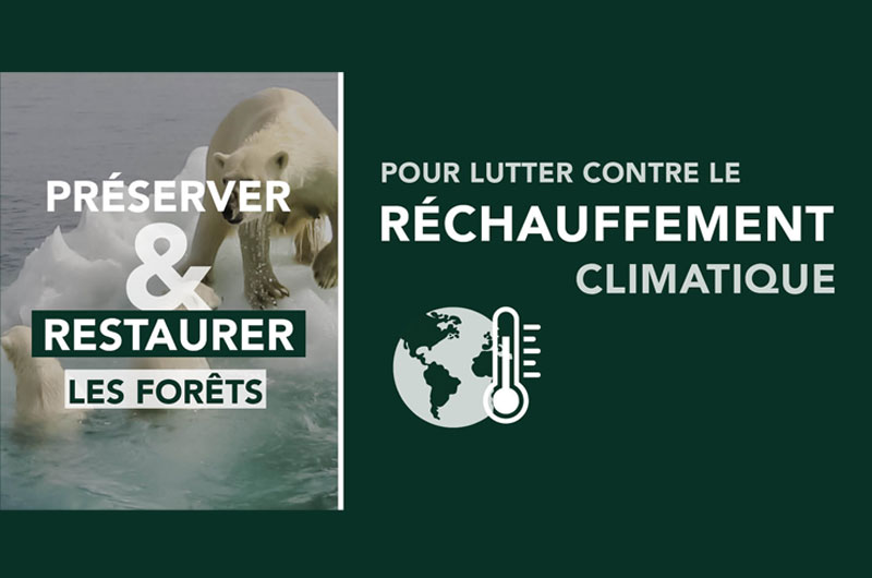 Reforestation Réchauffement climatique