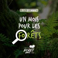 Mois de la forêt